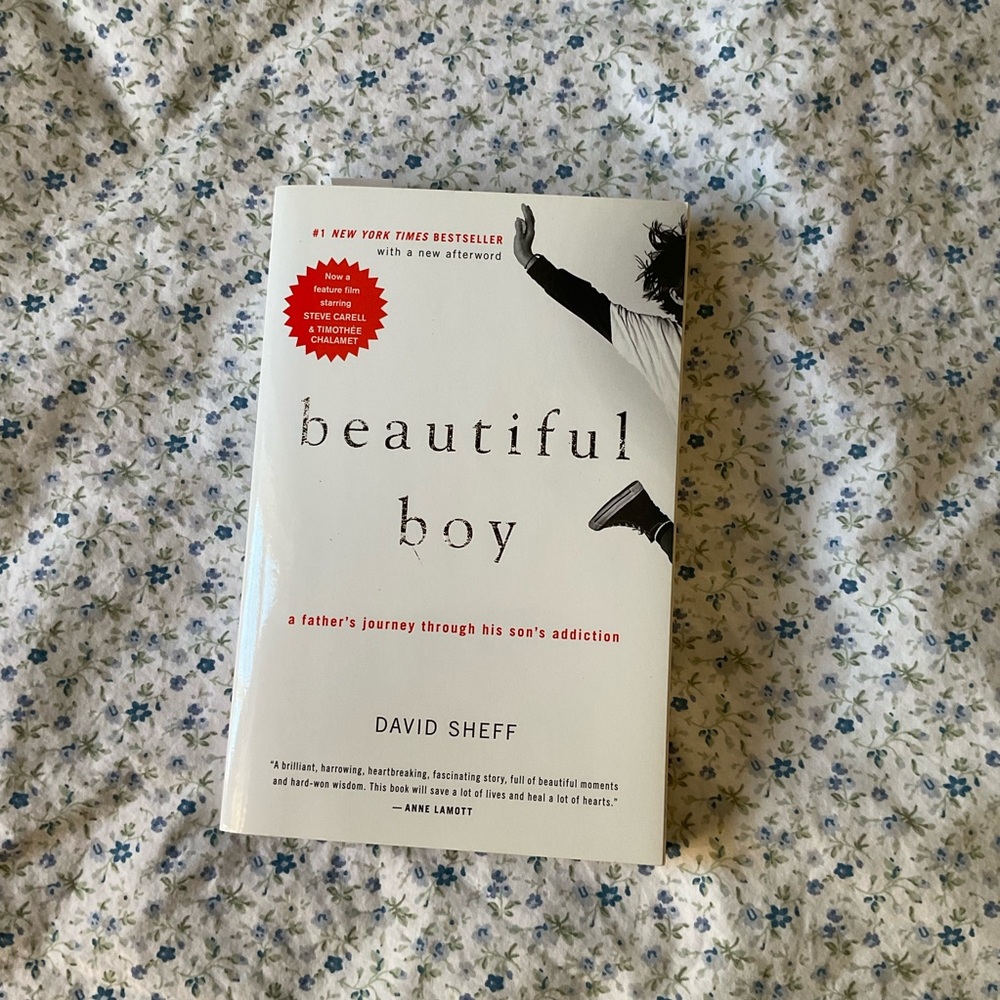 Beautiful Boy by David Sheff memoir